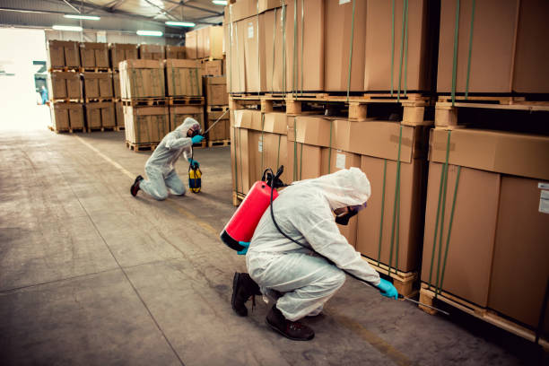 Best Best Pest Control Companies  in Waldorf, MD