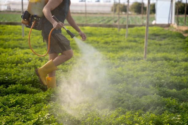 Best Best Pest Control Companies  in Waldorf, MD