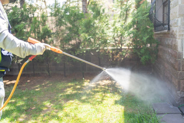 Best Rat Extermination Near Me  in Waldorf, MD