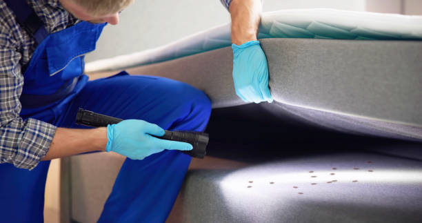 Best Residential Pest Control  in Waldorf, MD