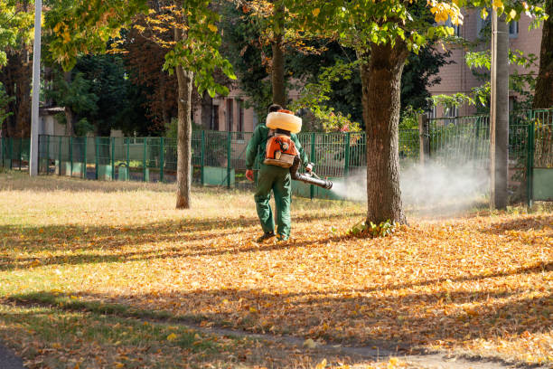 Best Pest Control Near Me  in Waldorf, MD
