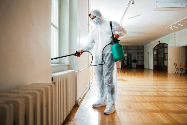 Best Bed Bug Extermination  in Waldorf, MD