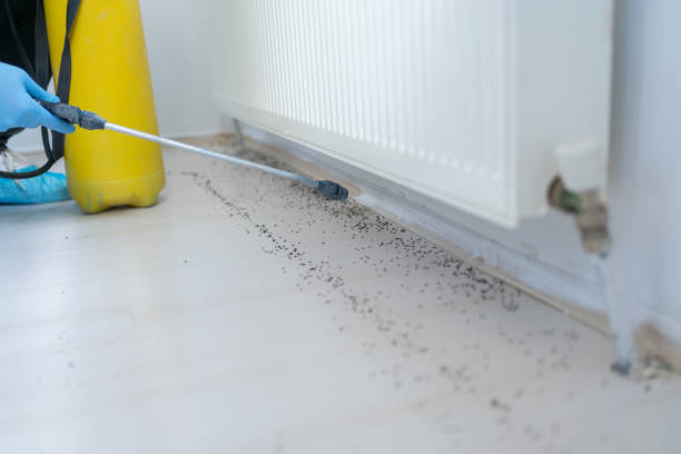 Best Emergency Pest Control  in Waldorf, MD